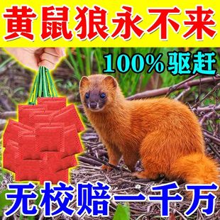 驱黄鼠狼专用药养鸡神器养殖场防黄鼠狼强力气味驱赶吓黄鼠狼克星