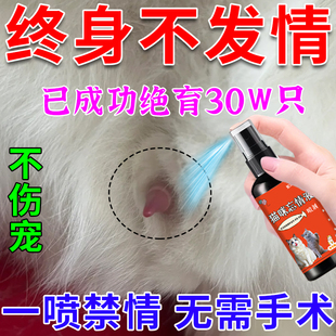 猫咪发情抑制药母猫宠物公母猫咪狗绝育禁情粉避孕药液发禁情专用