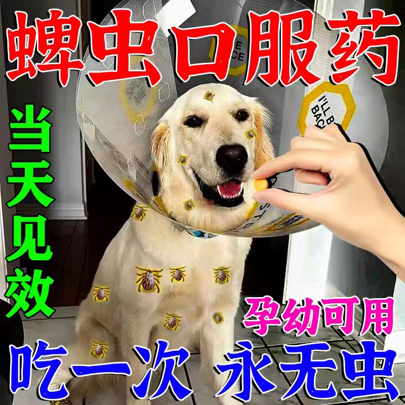 狗蜱虫专用药内服宠物身上有跳蚤虱子克星去除用的驱虫药百虫杀片
