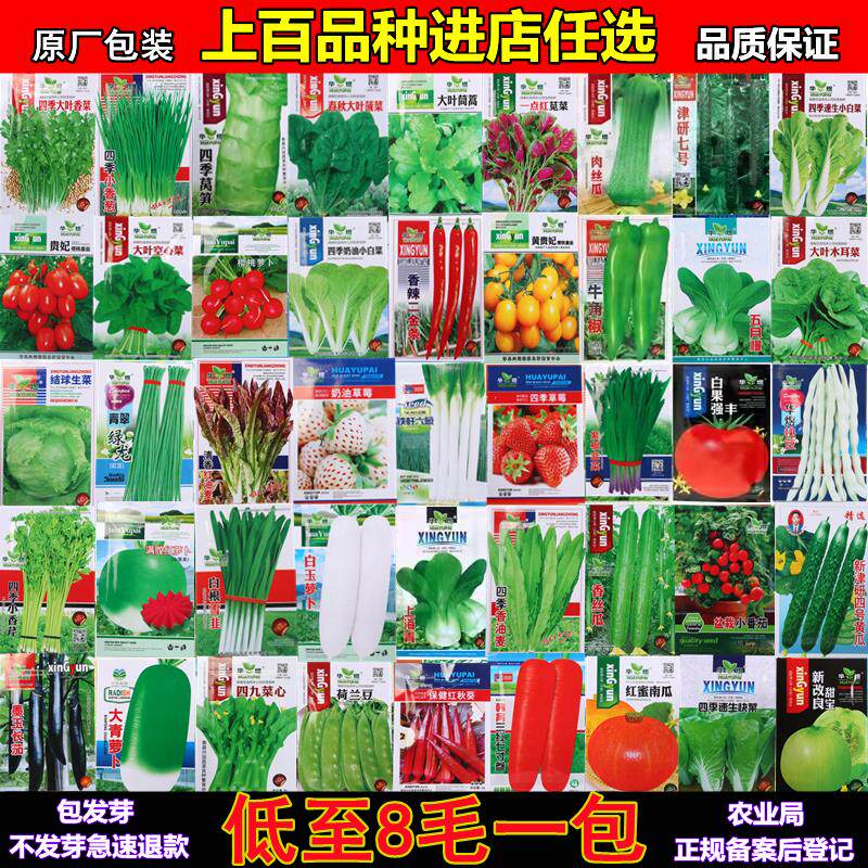四季蔬菜种子春季菜籽阳台青菜番茄黄瓜生菜香菜小葱韭菜辣椒盆栽