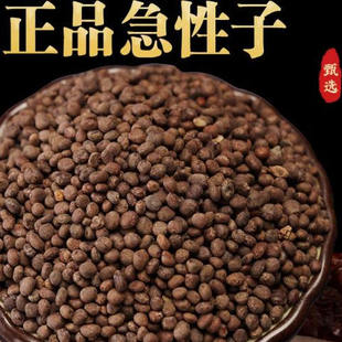 急性子中药材500g野生新凤仙花子指甲花籽正品新货精选急性籽药材