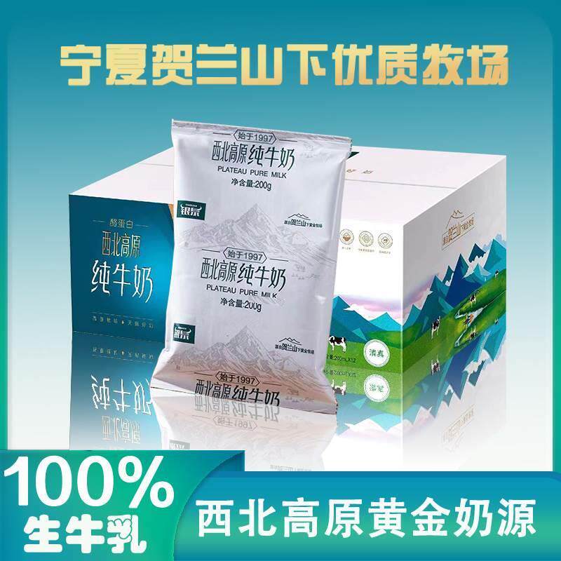 宁夏西北高原银泉纯牛奶学生老人健康带吸管早餐200g*12袋装整箱