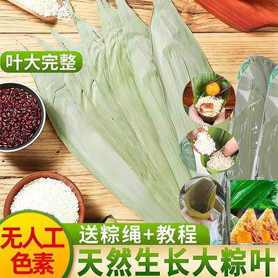 粽子叶干粽叶大号鲜箬叶包粽子的粽子叶新叶大号粽子叶端午干粽叶