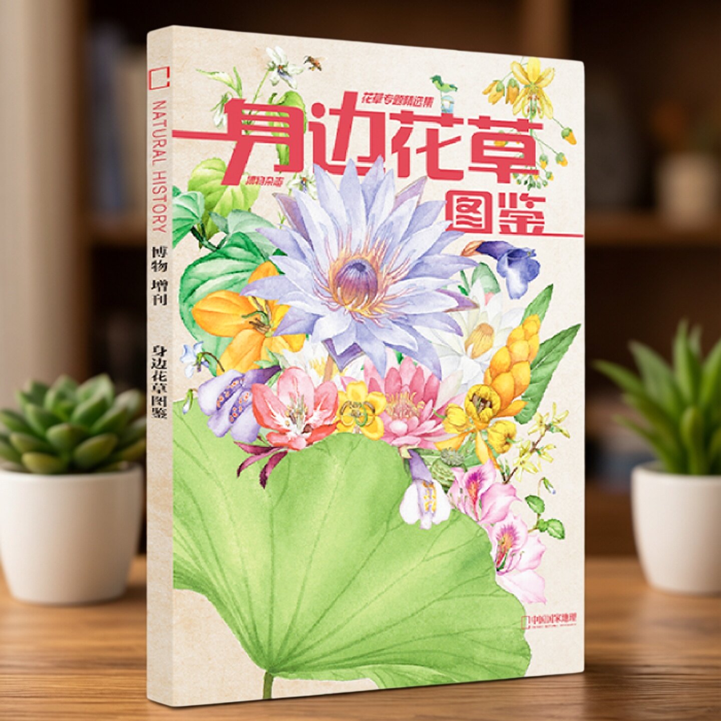 博物增刊身边花草图鉴博物杂志花草专题精选集博物增刊礼物中国国家地理怪怪宠物箱美味博物学博物君式科普怪怪宠物箱