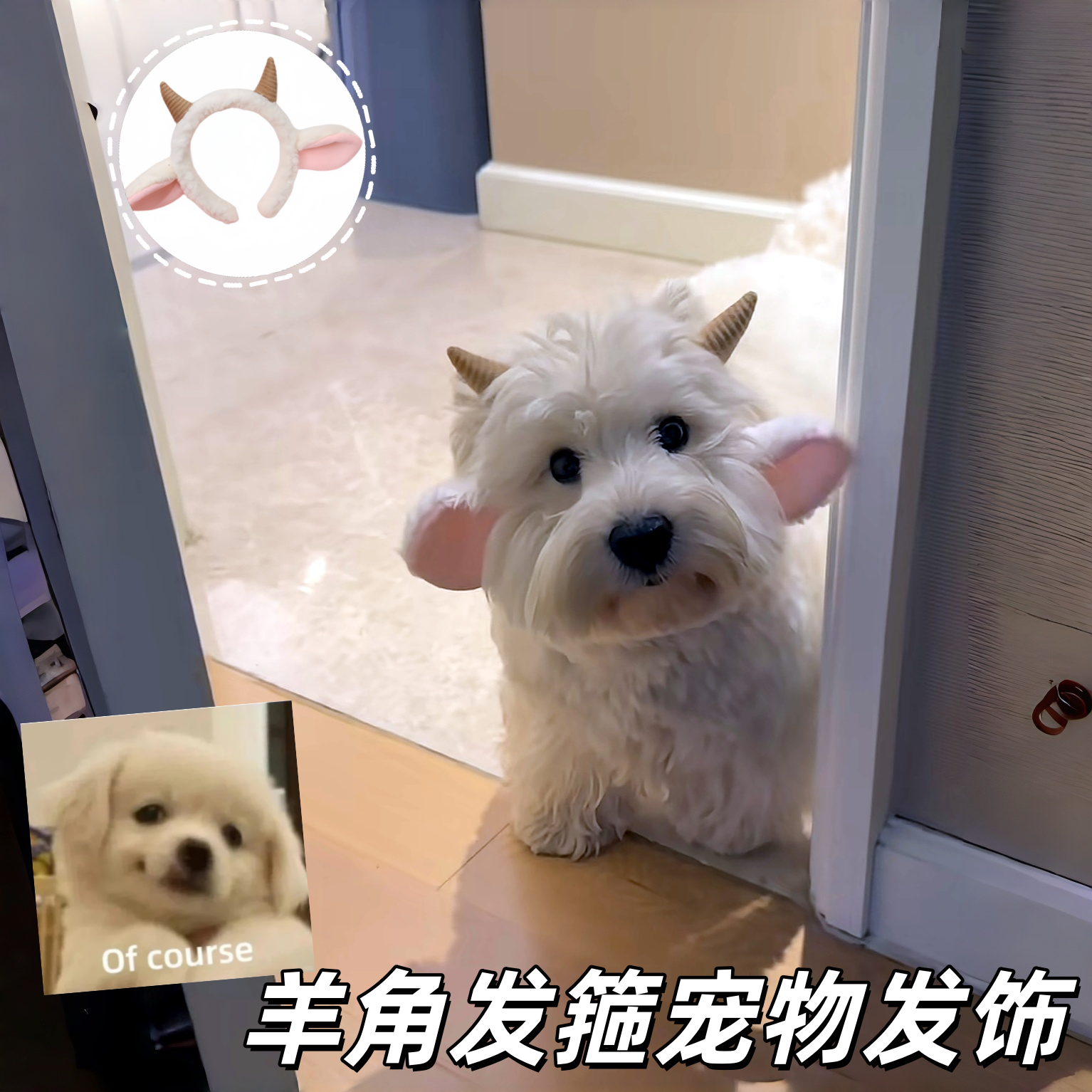 羊角发箍宠物发饰创意可爱风狗狗氛围感装饰品头饰小型犬宠物饰品