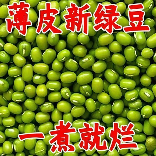 颗粒饱满色泽鲜绿皮薄易煮沙糯出沙无杂无霉