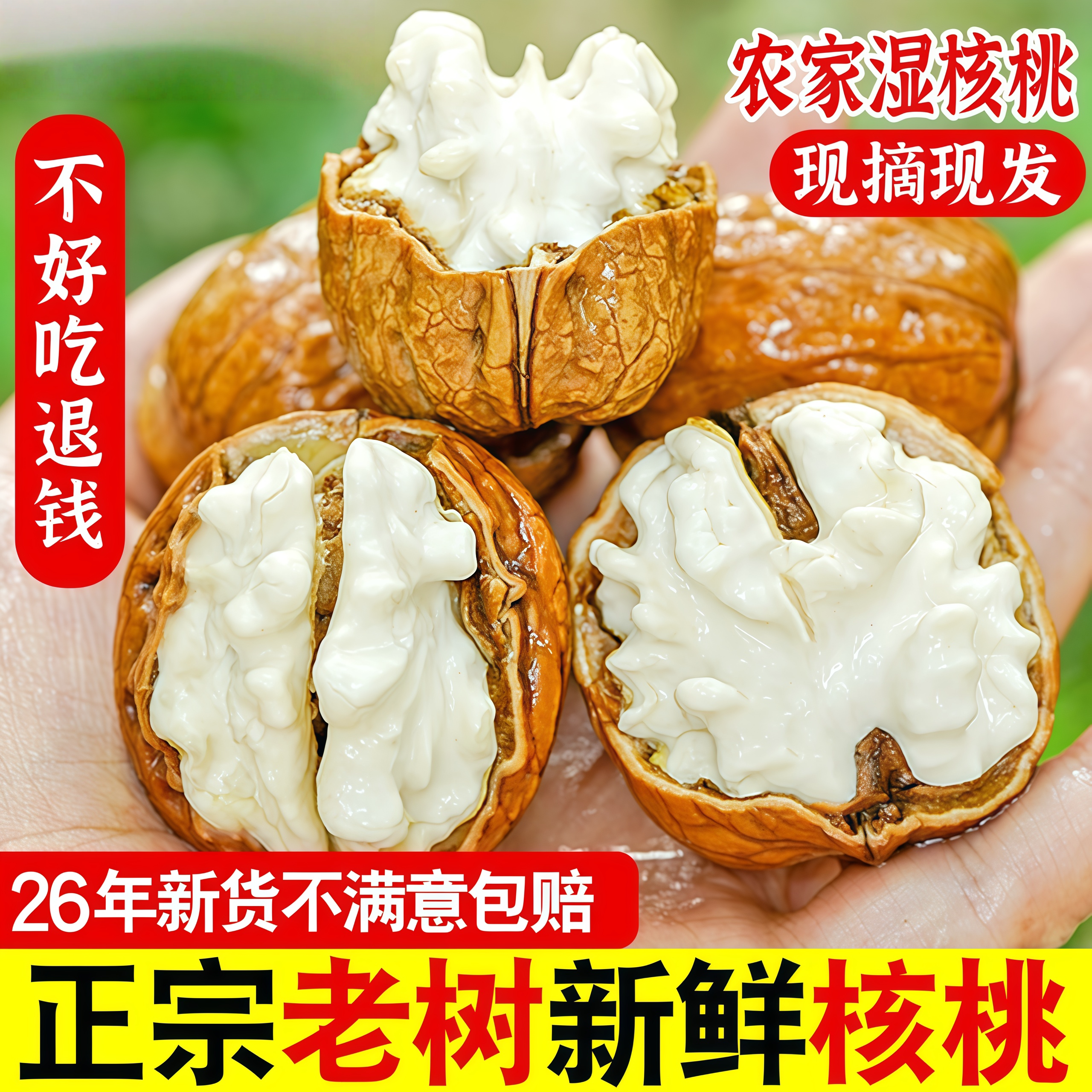 2026年新鲜湿核桃现摘山核桃大凉山核桃去青皮生核桃老树农家核桃