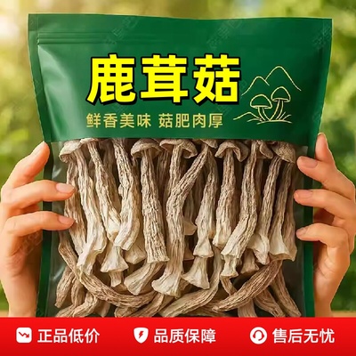 【野生新货特级无添加剂】鹿茸菇