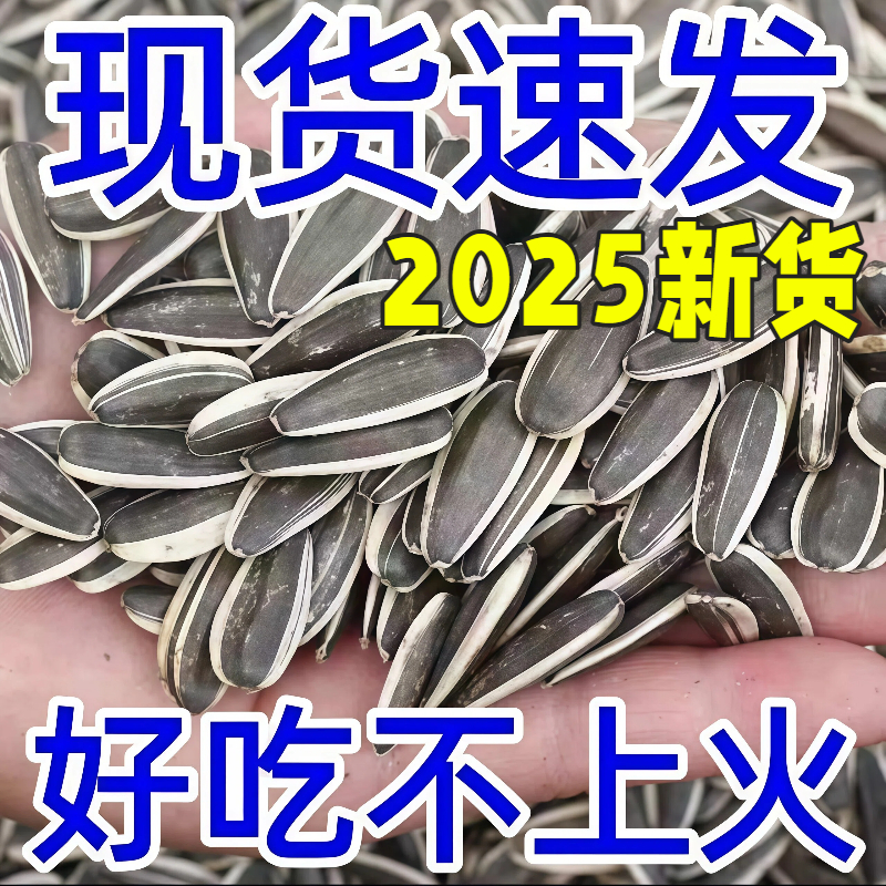 【2025年新货】内蒙古葵花籽零食
