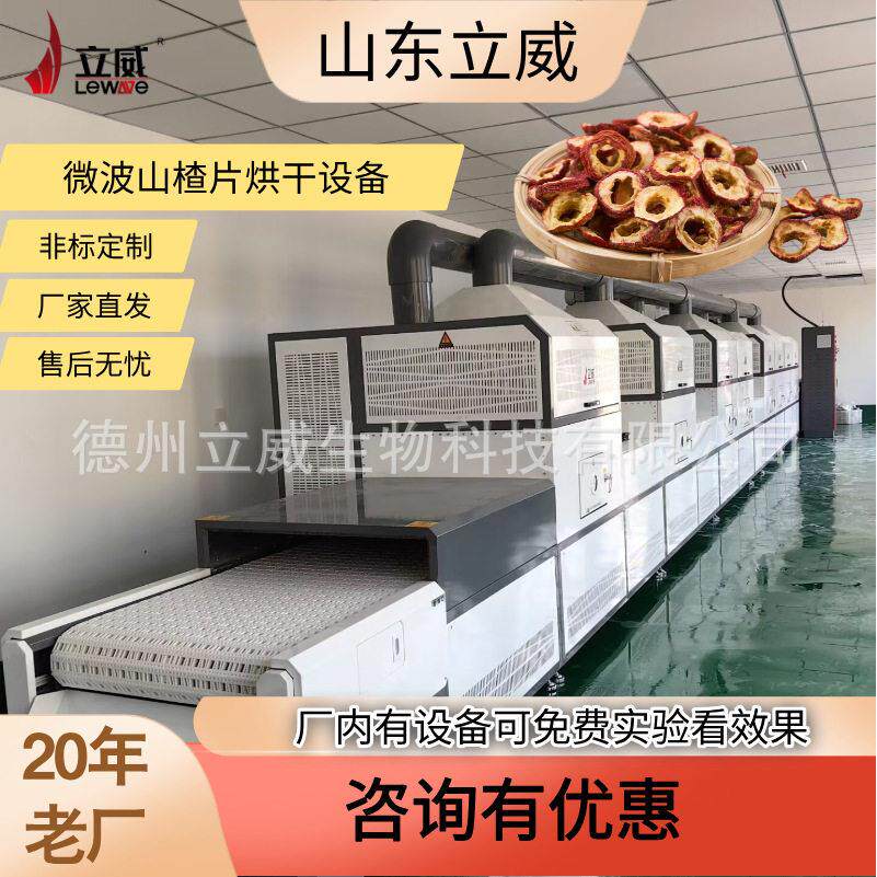 不锈钢微波山楂干灭虫卵设备坚果杀菌熟化一体机枣片脱水烘烤流
