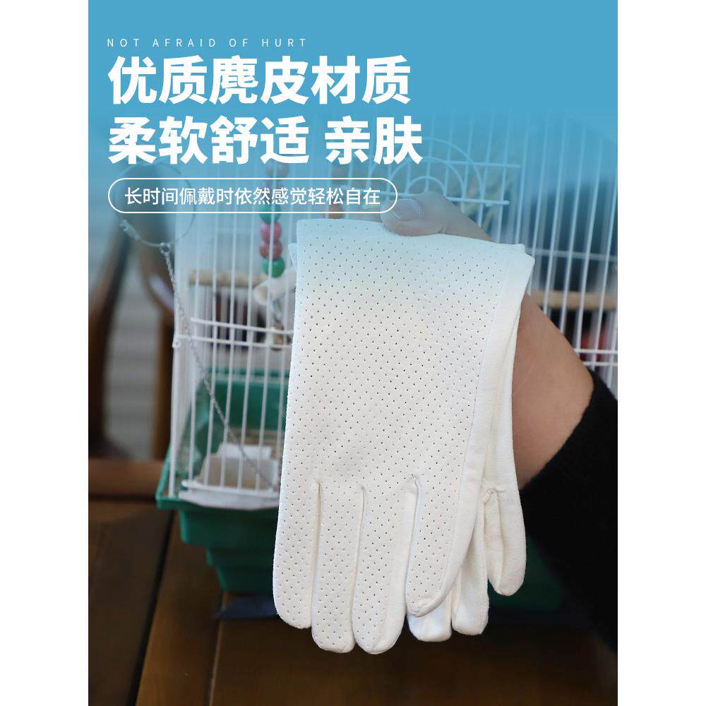 鹦鹉抗咬手套为鸟类训练,鸟类,宠物动物,抗抓伤,加厚的鹦鹉抓