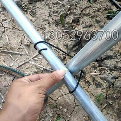 温室大棚配件压顶簧热镀锌椭圆管固定卡扣钢丝夹子园艺爬藤支架扣