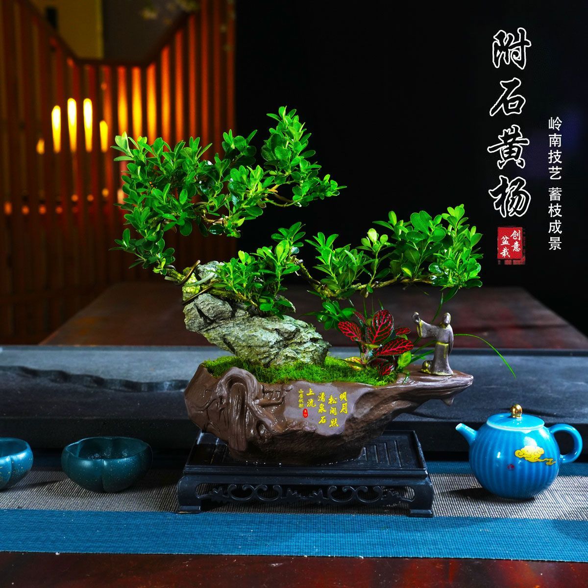 附石黄杨盆景花卉绿植盆栽净化空气植物四季常青观赏
