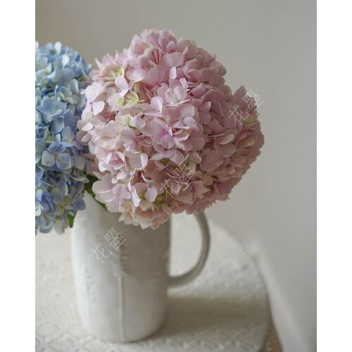 花曌 绣球鲜花绣球花绣球鲜切花鲜E花水养真花家居餐桌书桌瓶插花