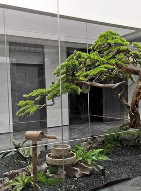 仿真松树迎客松美人松假树大型A商场酒店室内景观装饰盆景绿植摆