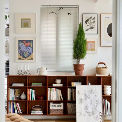 香冠柏香a松龙柏圣诞树盆景客厅室内好养绿植庭院耐寒植物四季常