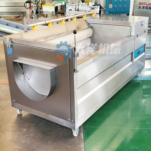 毛刷清洗脱皮机全自动土豆清洗去皮设备现货红薯磨皮机地瓜去皮机