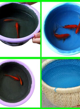防水涂料蓝色鱼池阳台泳池v饮水池漏水堵漏王补漏胶卫生间防水材