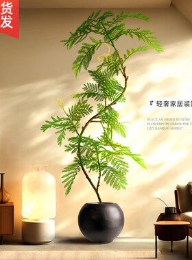 客厅大型落地绿植装饰摆件电视柜B旁边高级感蓝花楹仿真假植物盆