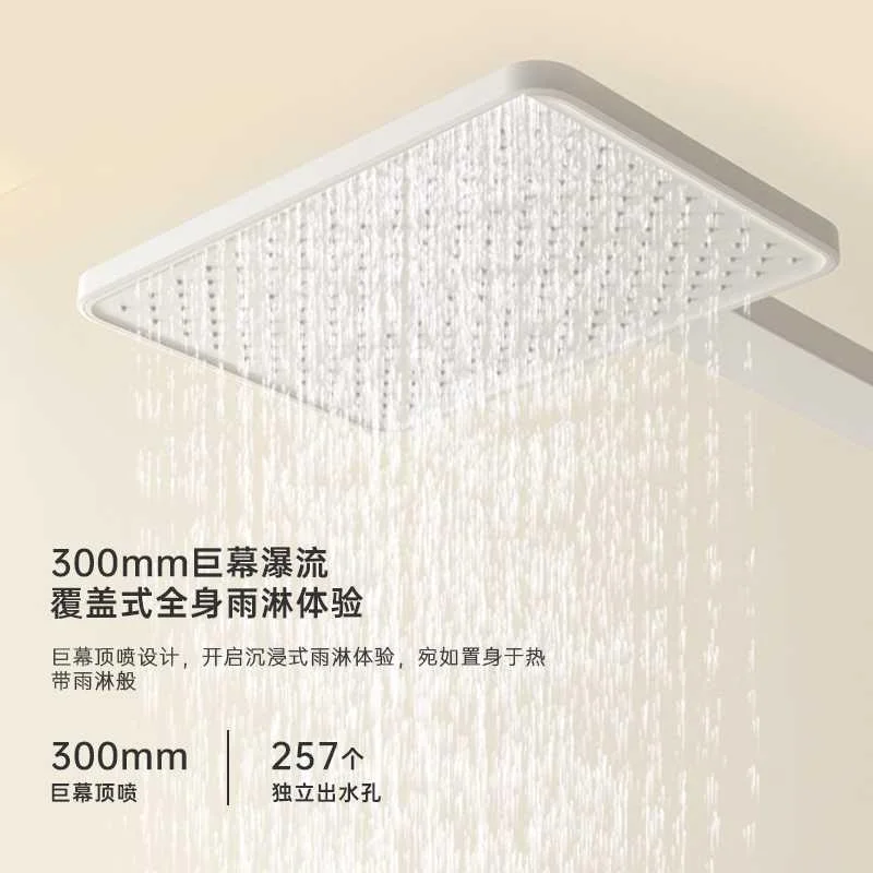 日本帕伊卫浴淋浴龙头花淋雨喷头洒套装浴室沐浴家用卫生间