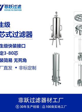 卫生级多芯式快装法兰精密过滤器304不锈钢芯式精密过滤器可定制