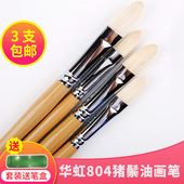 804 韩国华虹hawahong半圆形画笔油画丙烯兼用 猪鬃毛 包邮