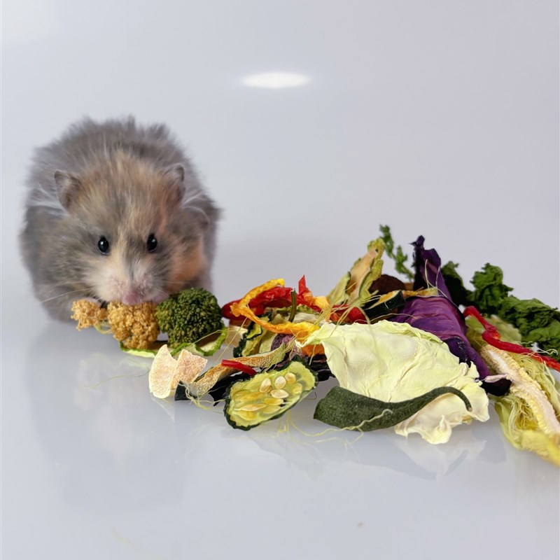 仓鼠金丝熊十八种蔬菜沙拉干营养拌粮绿色健康大片原切烘干