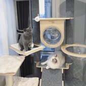 喵林苑定制实木大型猫爬架通天柱猫窝猫树一体超高猫玩具稳固大猫