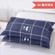 枕套一对装 成人枕头套单人学生宿舍家用整头枕芯套两只枕头套一只