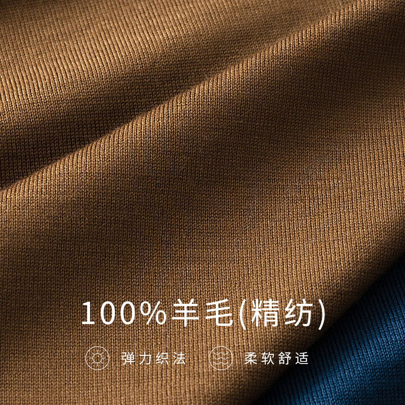 薄款精纺半高领羊毛衫男100纯羊毛男士毛衣针织打底衫秋冬季新款