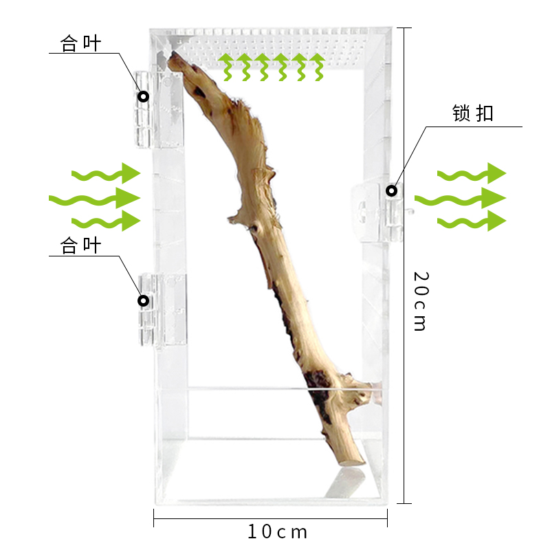 桌面雨林宠物饲养盒树栖捕鸟蛛兰花螳螂姥爷树蛙高款大号亚克力盒