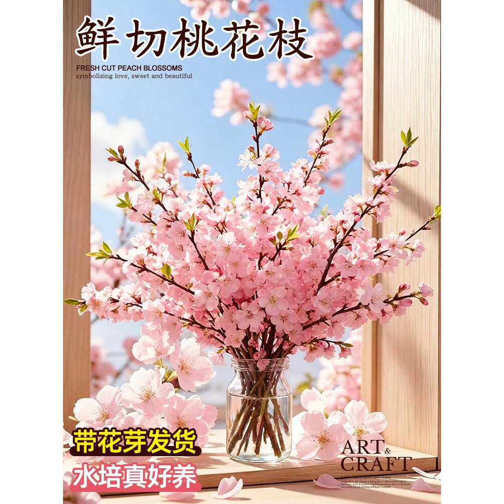 带花桃花枝干枝水培珍珠李鲜花室内摆件鲜切水养花卉绿植盆栽