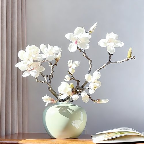 水培玉兰花鲜切枝带苞红梅