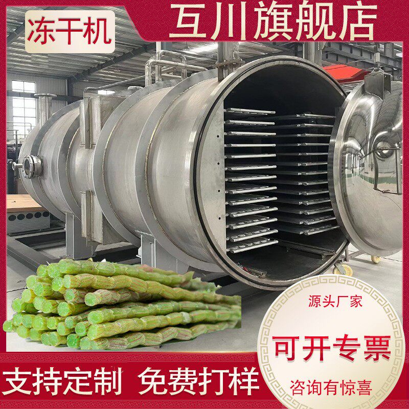 中药材大型冻干机厂家供应 全自动石斛虫草真空低温冻干机生产线