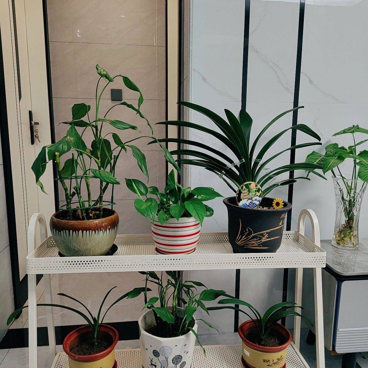 阳台花架物架可移置动落地式植层物多肉花架阶梯式多铁艺带轮H761