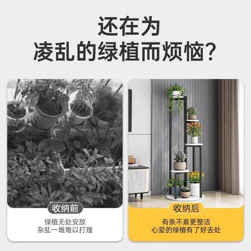 花架子客落厅地式铁艺多肉植物架高端室内电柜ECA旁绿架视子萝置