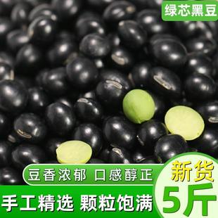 23新货绿芯大黑豆5斤 农家青仁乌皮绿心黑豆子 豆浆发芽大黑乌豆