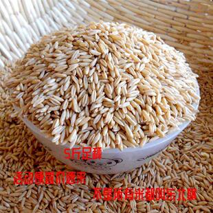 燕麦米新米去壳5斤东北旗土黑地精选新货带皮全胚芽裸雀燕麦粒好