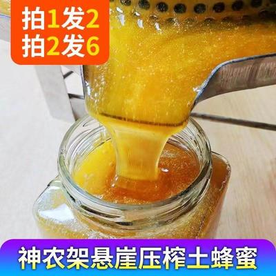 神农架树洞蜜悬崖蜂蜜纯正野生土蜂蜜五倍子土黄连纯正蜂蜜