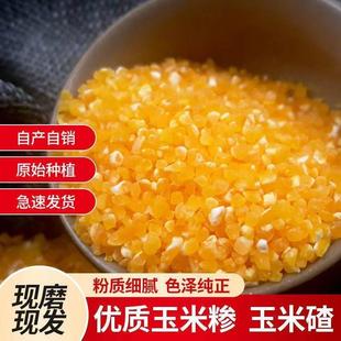 东北玉米大碴子玉米粒玉米碎苞米茬子玉米糁煮饭煮粥5斤散装