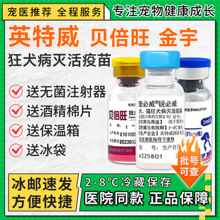 英特威狂犬疫苗狗狗猫咪狂犬疫苗针预防狂犬育苗幼犬幼猫通用型