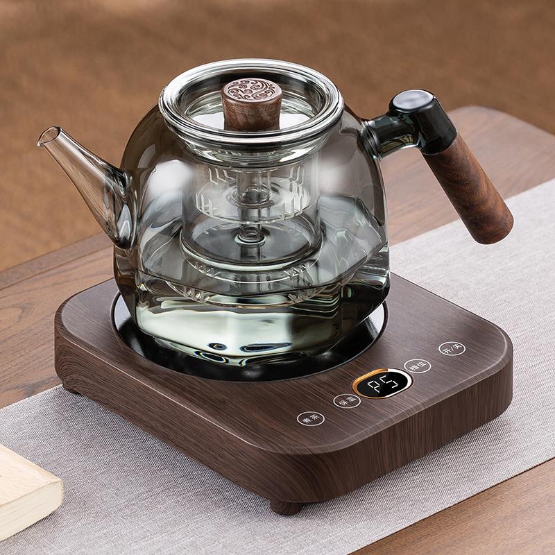玻璃蒸煮一体茶壶器办公室小型迷你烧茶养生壶超薄黑晶炉煮茶专用