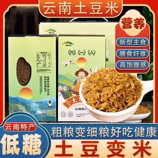 云南土豆米巧家特产昭通高海拔大米土豆大米低无糖高饱腹感中科院