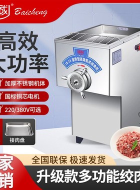 百成JR-22立式绞肉机 电动绞肉机 碎肉机 绞肉机 碎肉宝
