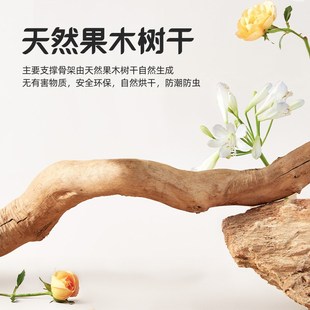 喵想树实木猫爬架猫窝猫树一体不占地剑麻猫跳台猫玩具树洞系列