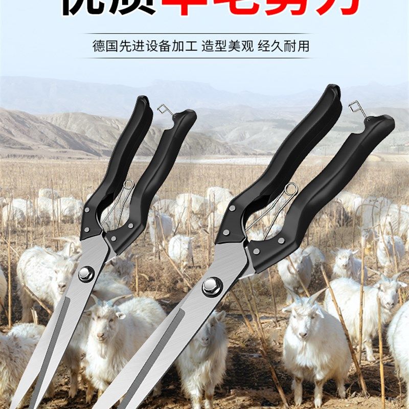 羊毛剪刀手动剃羊毛家用纯手工剪子剪狗毛兔毛牛毛宠物毛美容剪,五金/工具,家用剪,淘宝优惠券,粉丝福利购,淘宝优惠卷