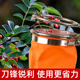 采摘花椒专用神器花椒采摘专用工具防刺手套剪花椒剪刀摘枸杞网红
