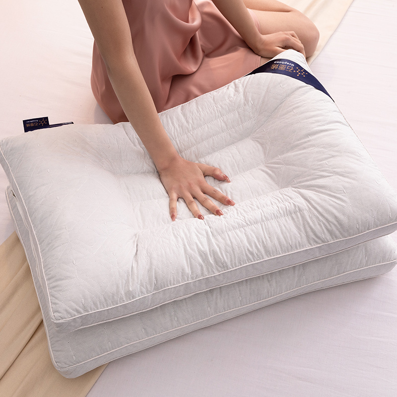 全棉决明子枕头护颈椎助睡眠枕芯家用一对中偏高偏硬不塌陷不变形