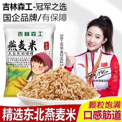 新货燕麦米胚芽米糙米新米五谷杂粮粗粮米饭燕麦粒