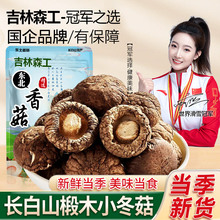 香菇东北特产椴木小香菇500g菌类干货非野生特级香菇冬菇蘑菇批发